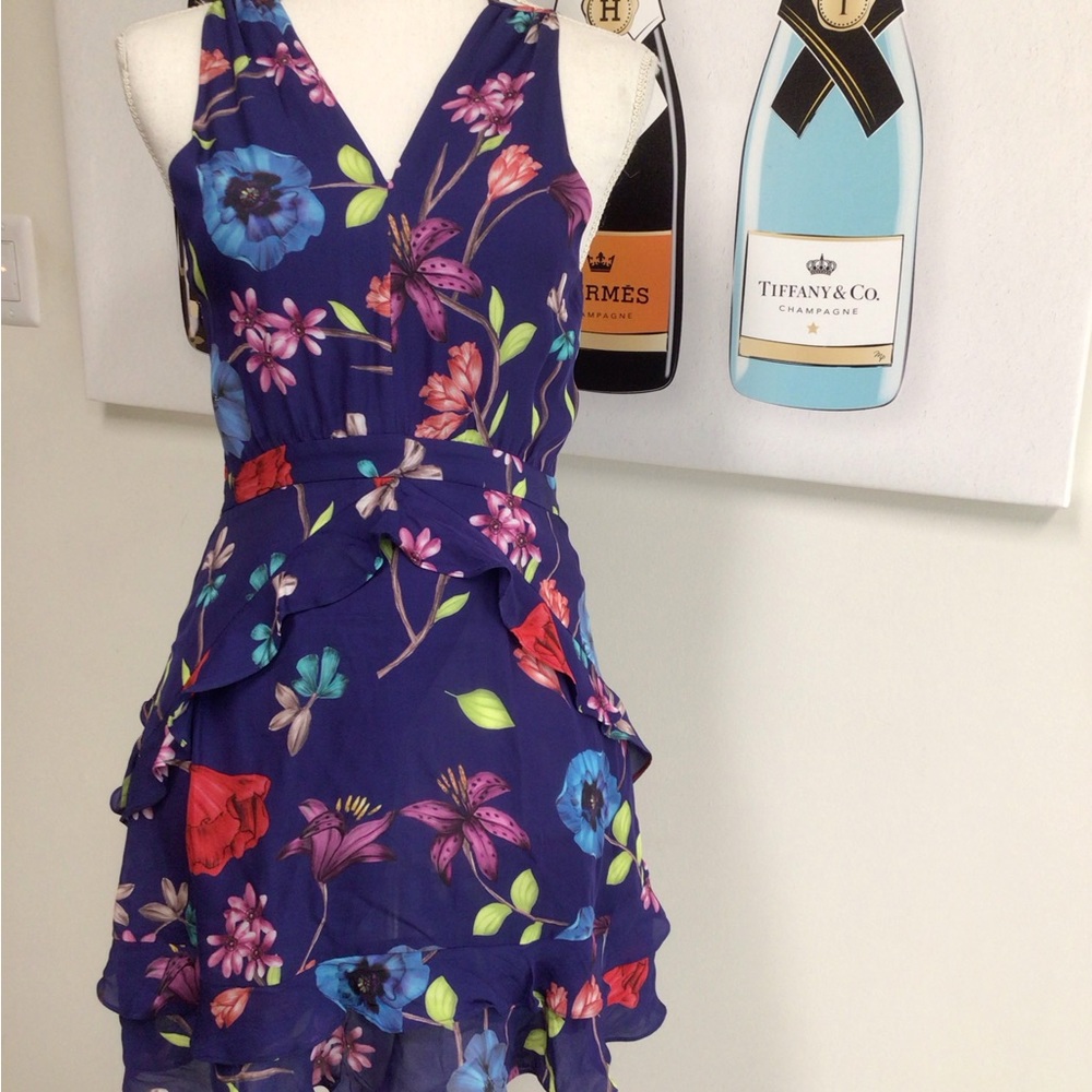 Parker Floral Dress Size 2